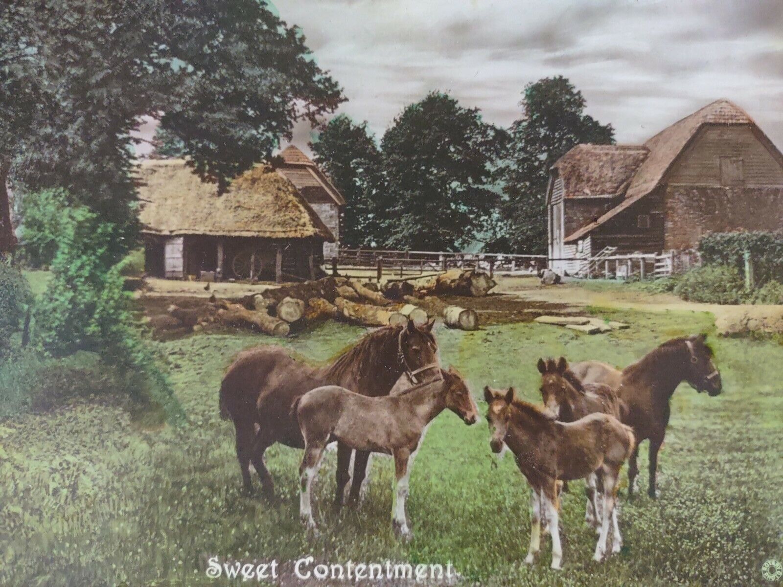 Thatched Roof Village Homes Horses 1900s Christmas Greetings