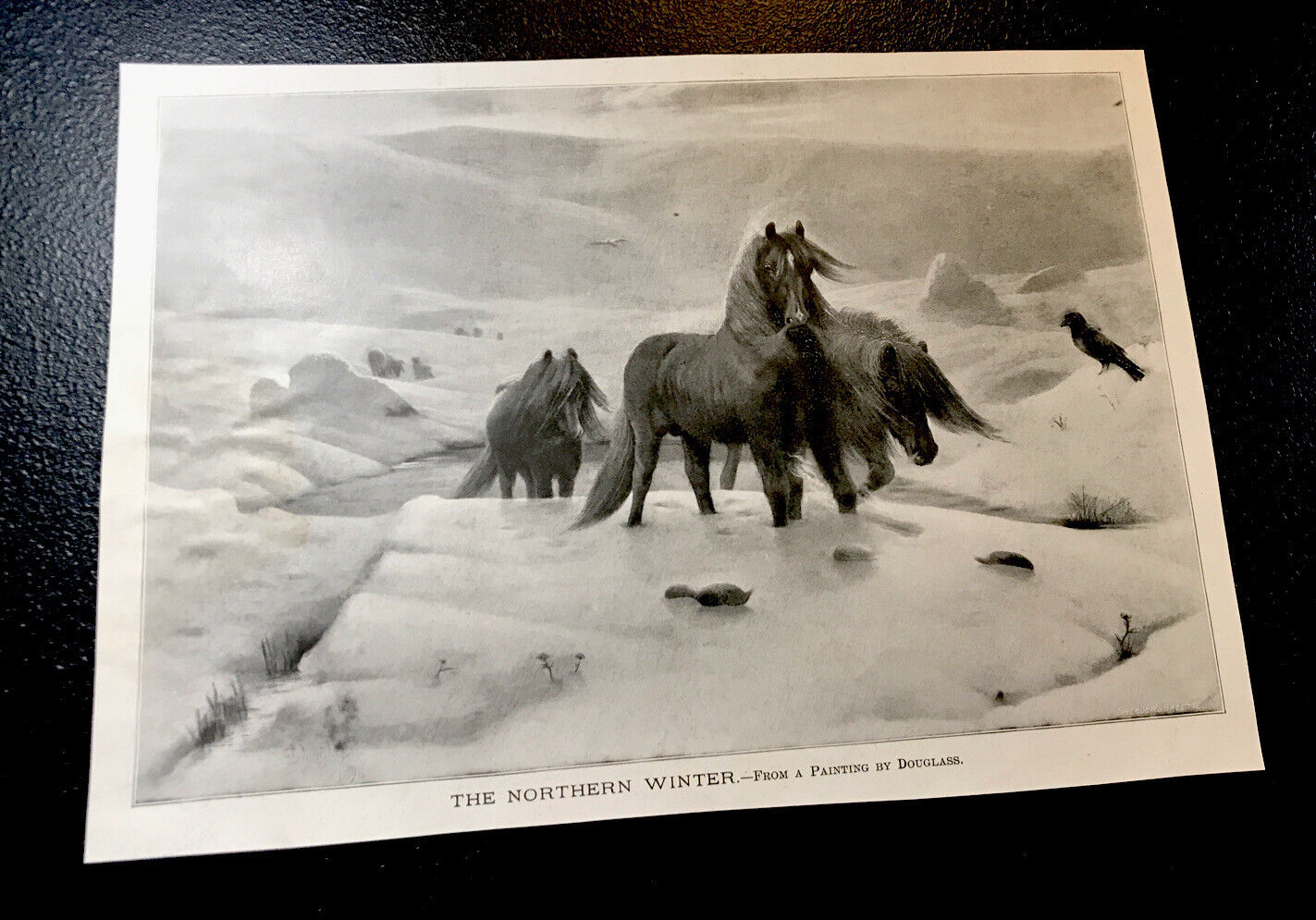 Original 1914 “the Northern Winter” Horse Advertising By Douglas