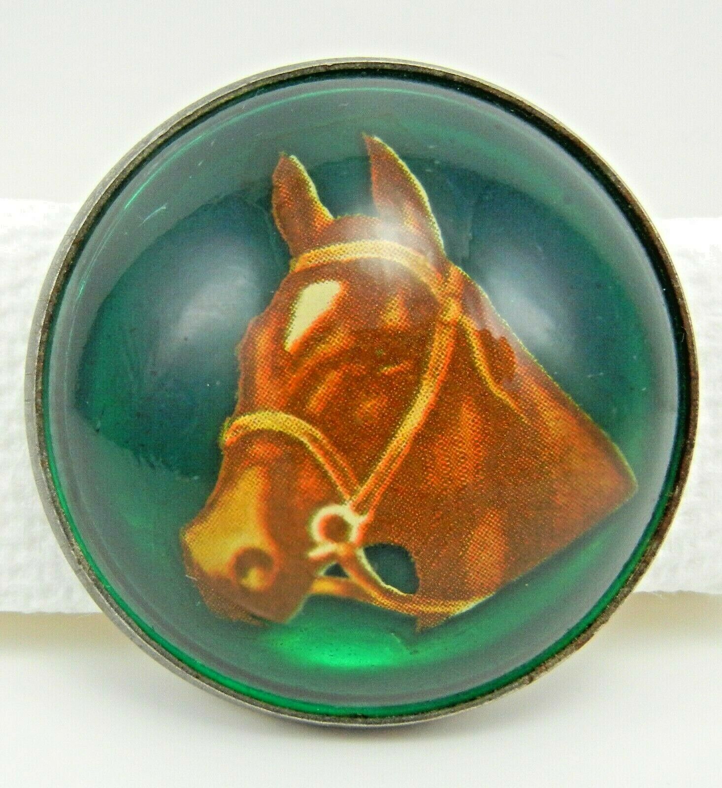 Vintage Chapman Horse Head Bridle Rosette Button Green Background & Glass Dome
