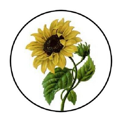48 Sunflower!!!  Envelope Seals Labels Stickers 1.2" Round